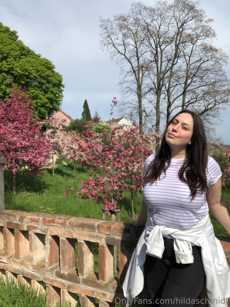 großer schwanz paar nur fans schöne beste archiv