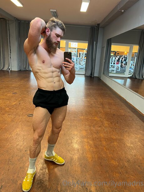 Ilyamadris top exklusive galerien