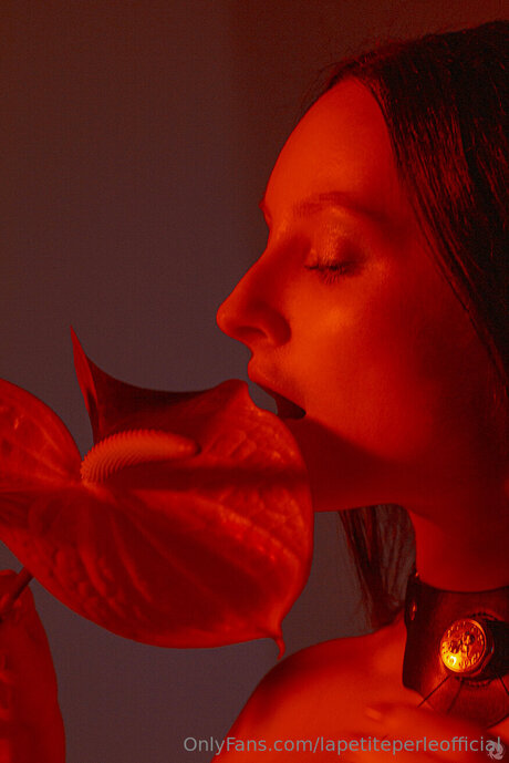 Lapetiteperleofficial kostenlose beste fotos