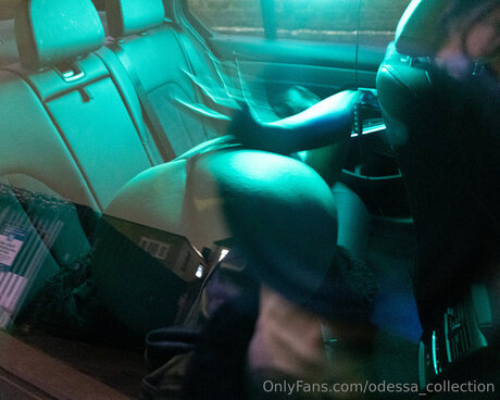 Odessa Collection schöne sexy galerie