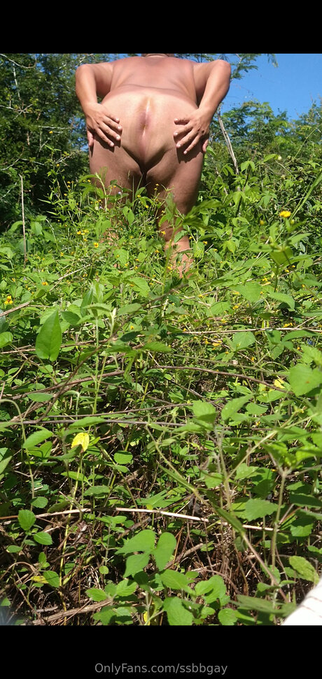 Ssbbgay hd akt bilder