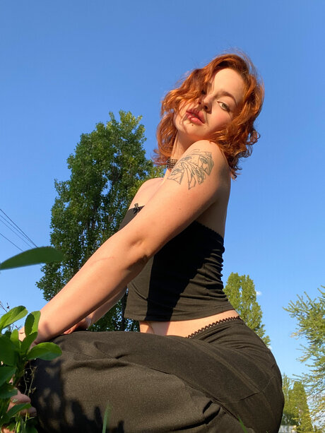 Pineappleri heiße schöne bild