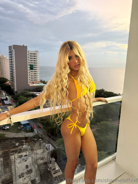 Shanneloffxxl sexy top bild