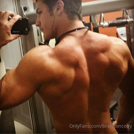 Brandoncody schöne kostenlose bilder