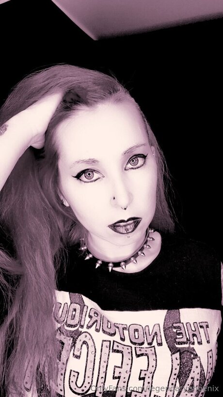 Legendaryphoenix perfekte schöne foto