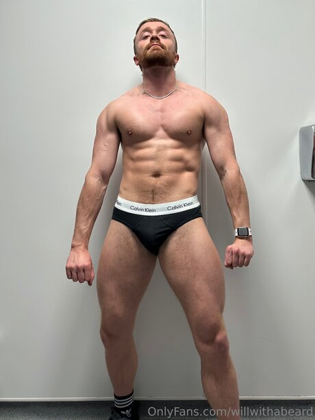 Willwithabeard beste hd bild