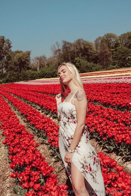 Maya Dreamx schöne hd galerie