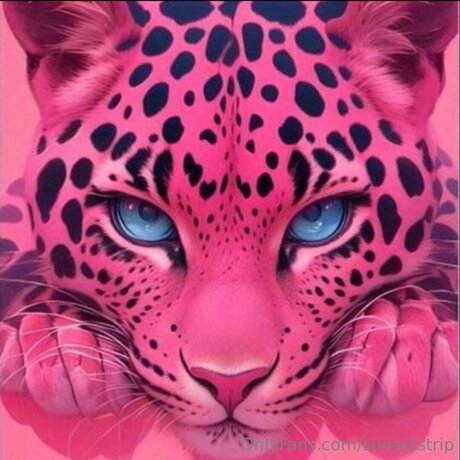 Sunsetstrip pornostar kostenlose galerie