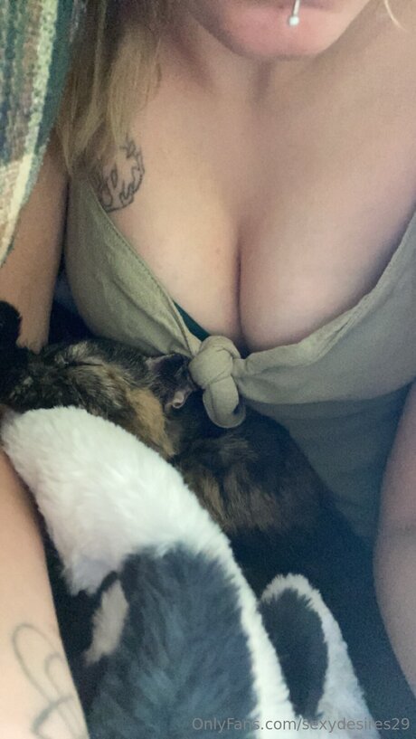 Sexydesires29 perfekte kunst galerien