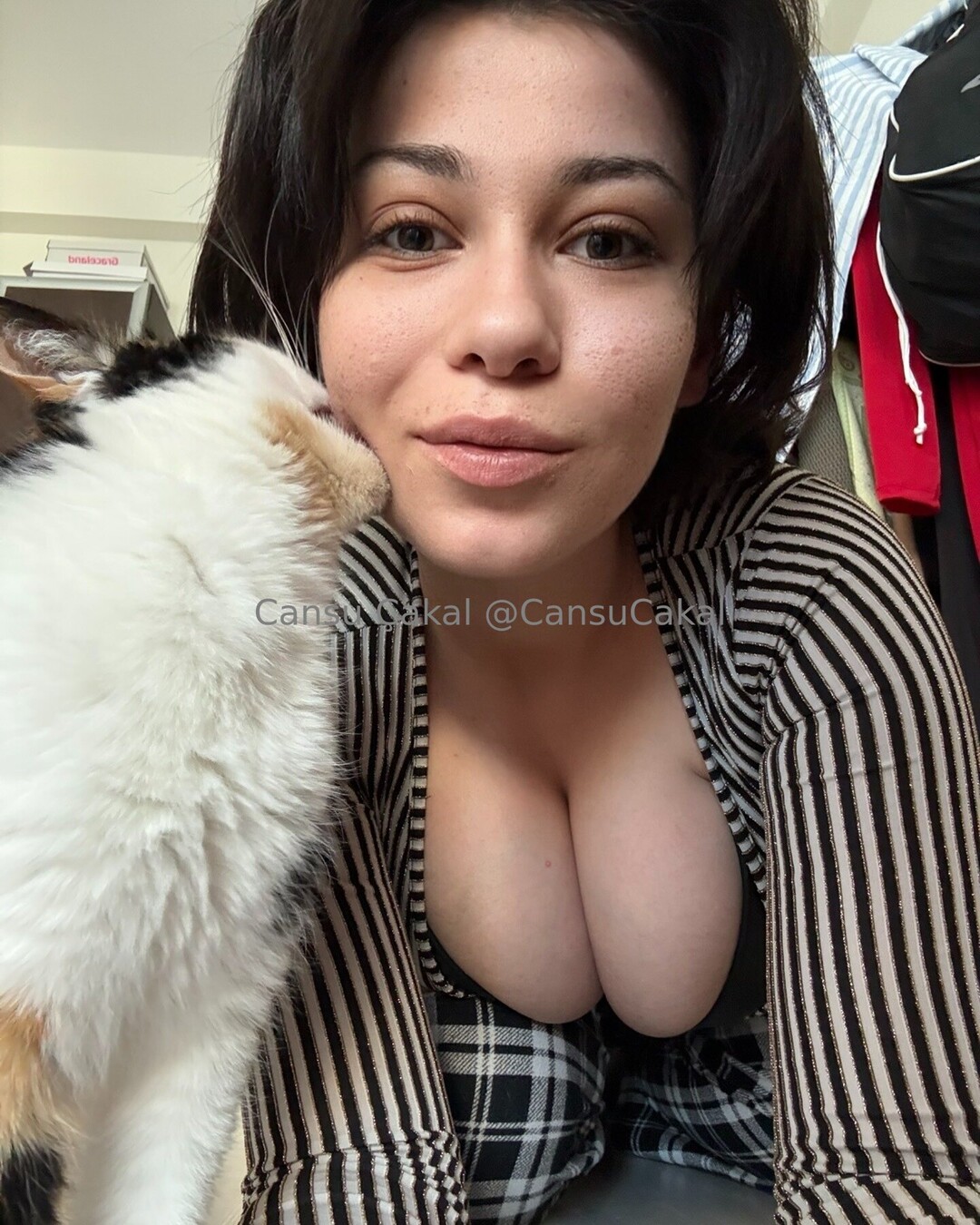 Nocns freie hübsche fotos