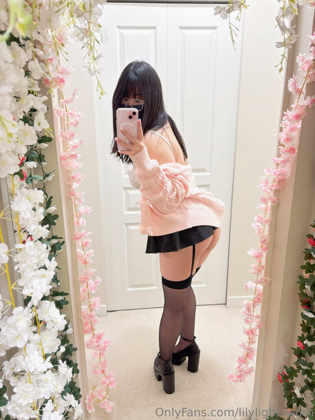 Lilylightsworn beste kostenlose fotos