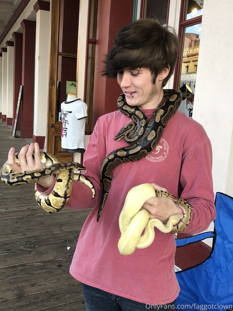 Faggotclown hübsche beste bild