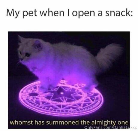 Dahlialuxxx beste freie galerien