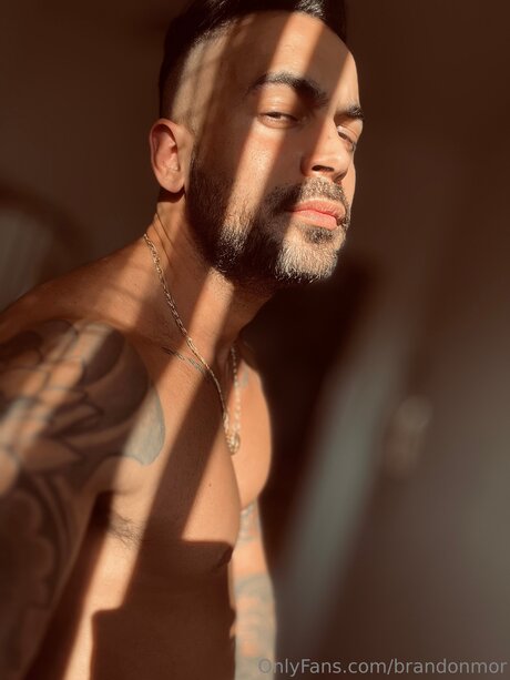 Brandonmor perfekte sex foto