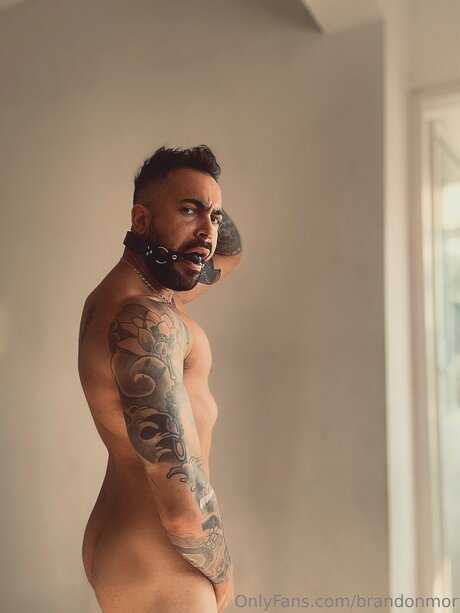 Brandonmor hd exklusive fotos