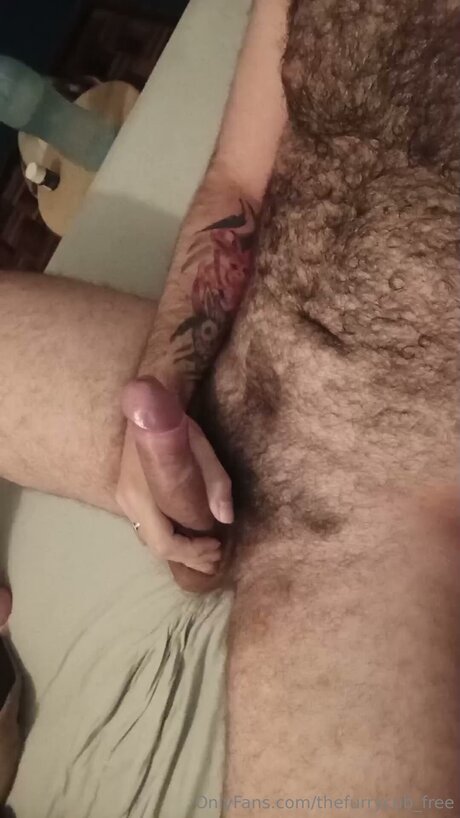 Thefurrycub Free schöne beste foto