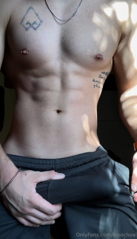 Leoochoa beste top bilder