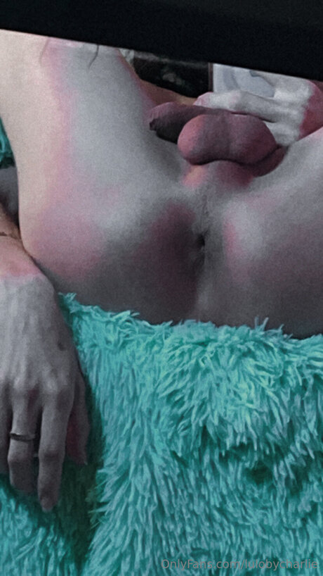 Lulobycharlie freie top bild