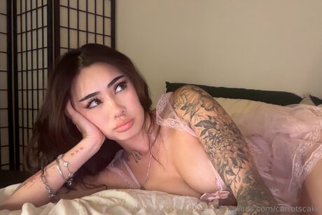 Carrotscake erwachsene freie bilder