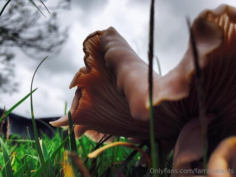 Farrahfahrenhite nacktheit porno galerien