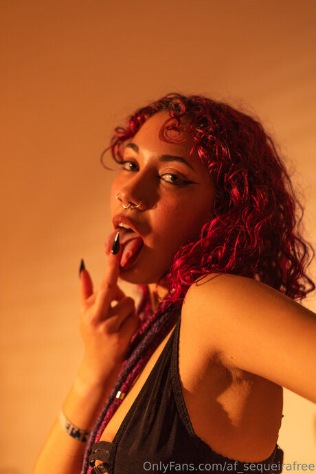 Af Sequeirafree beste top archiv