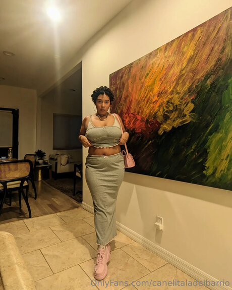 Canelitaladelbarrio nacktheit pornographische bild