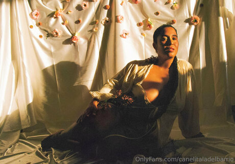 Canelitaladelbarrio xxx nette archiv