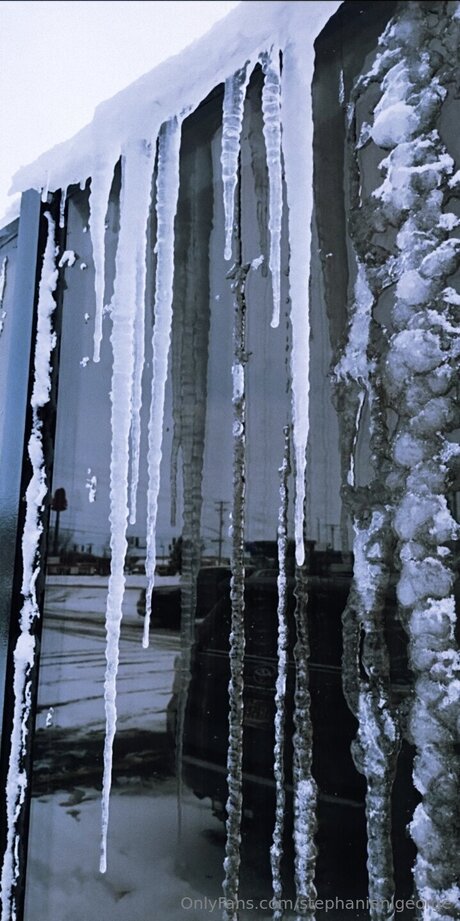 Stephanienlgeorge Profilbild