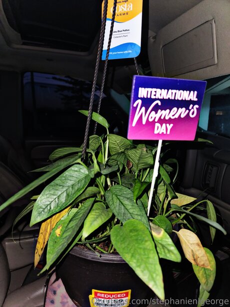 Stephanienlgeorge erwachsene perfekte galerien