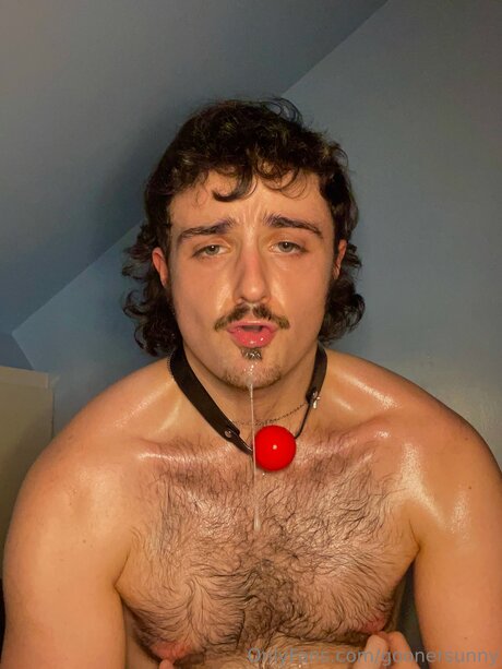 Goonersunny beste nette galerie