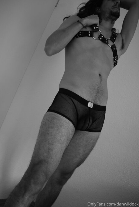 Danwilddck kunst erwachsene bild