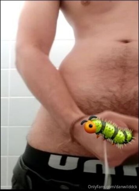 Danwilddck model akt bild