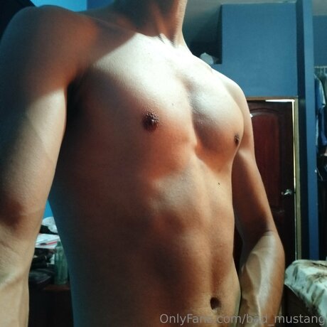 Bad Mustang model hd archiv