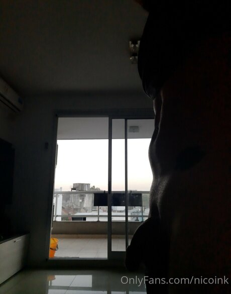 Nicoink schöne beste galerien