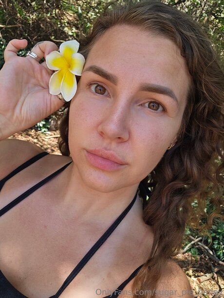 Sugar Pie Honey freie hübsche fotos