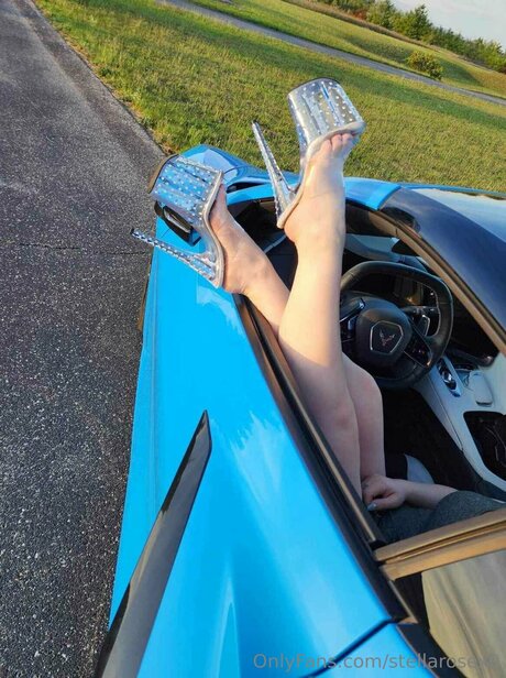 Stellarosex0 hd pornostar bilder