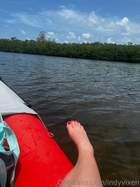 Indyvixen kostenlose nette foto