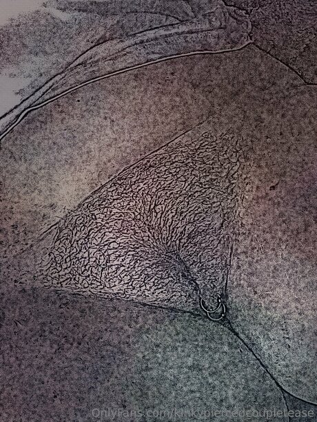 Kinkypiercedcoupletease schöne erotische archiv