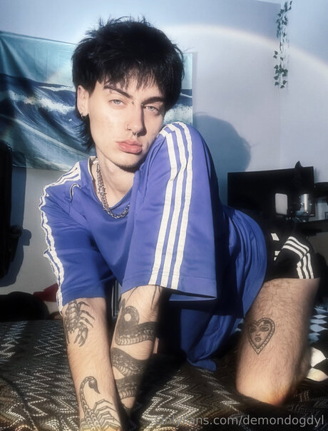 Demondogdyl kunst erwachsene bild