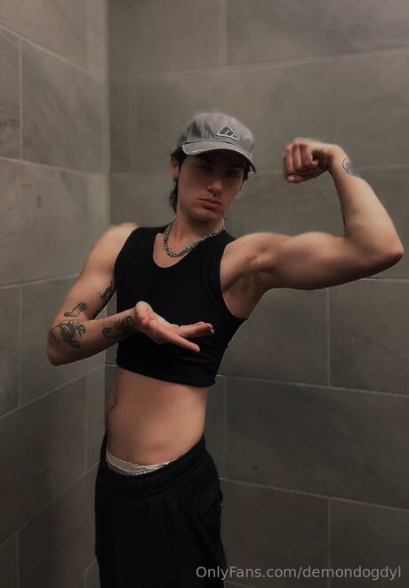 Demondogdyl hübsche erwachsene bilder