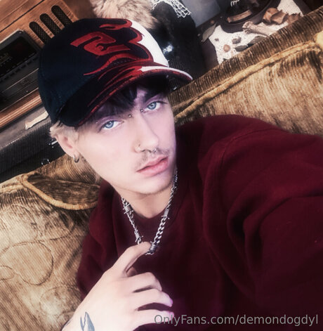 Demondogdyl perfekte heiße foto