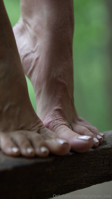 Harisnyas Csaj top exklusive archiv