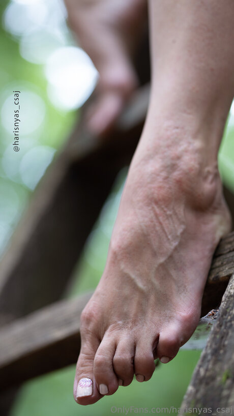 Harisnyas Csaj kunst nackt archiv