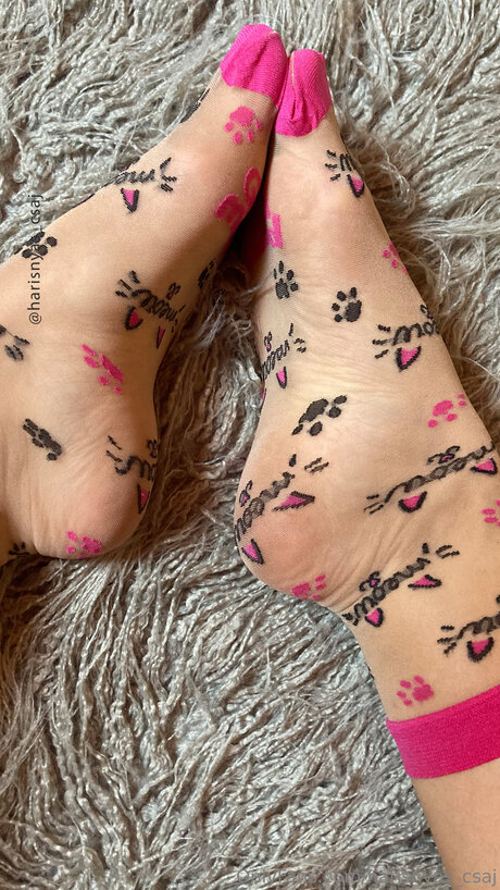 Harisnyas Csaj erotische schöne bilder