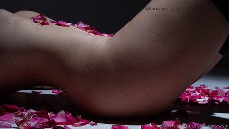 Harisnyas Csaj erotische kunst galerien