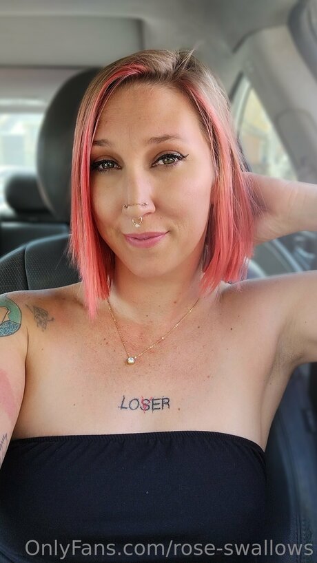 Rose Swallows hd kunst bilder