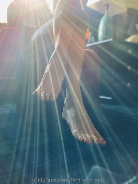 Fern Scotland Profilbild