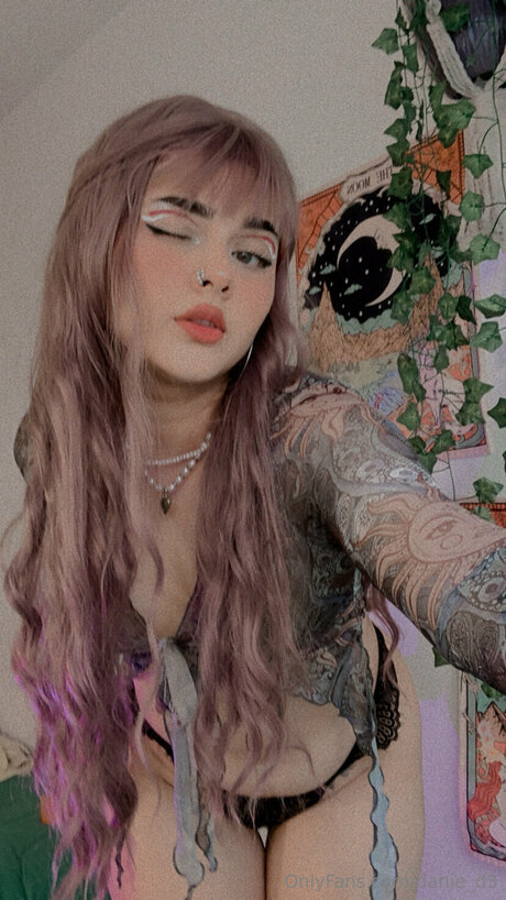 Danie D3 model nette bild