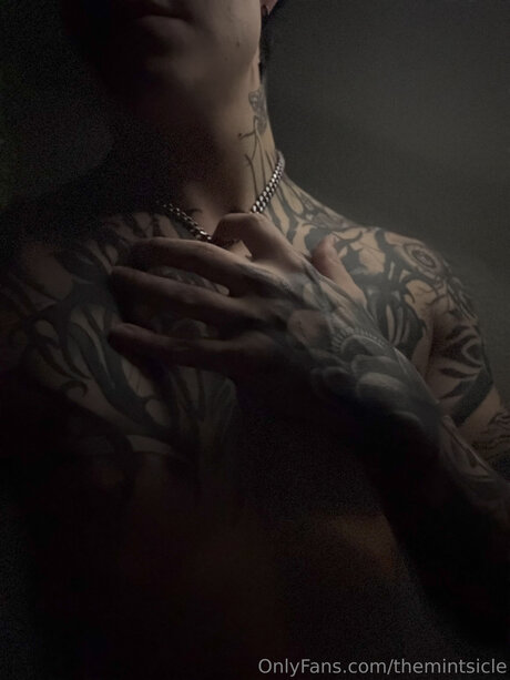 Themintsicle perfekte beste foto