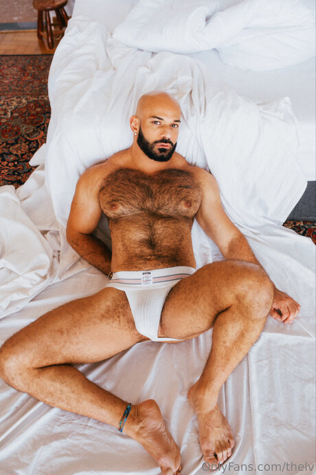 Thelv porno nette archiv